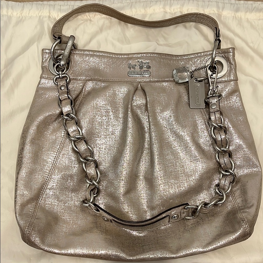 Coach Metallic Leather Bag
